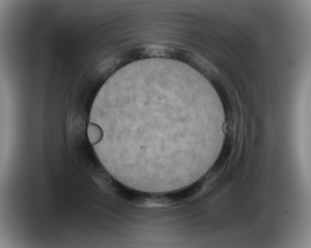 X0000084000603200703091907