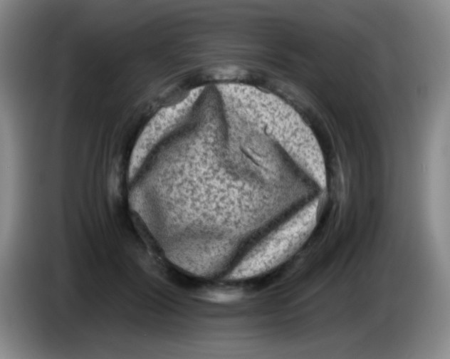 X0000084000604200703091907