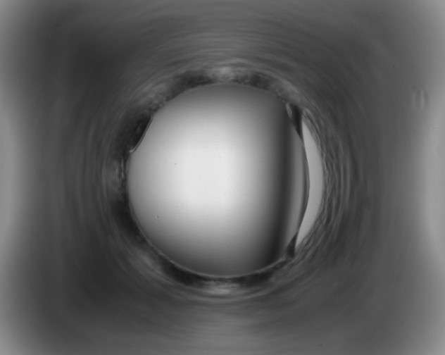 X0000084000605200703091907