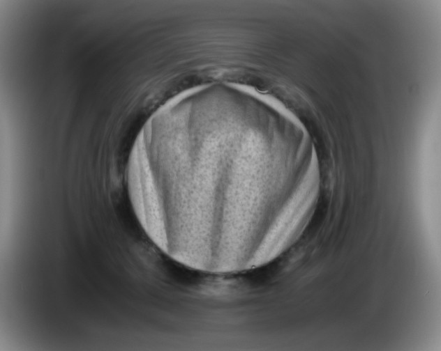 X0000084000607200703091907