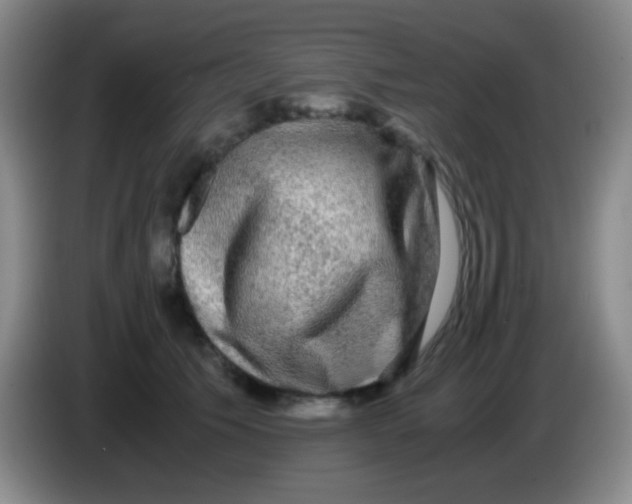 X0000084000609200703091907