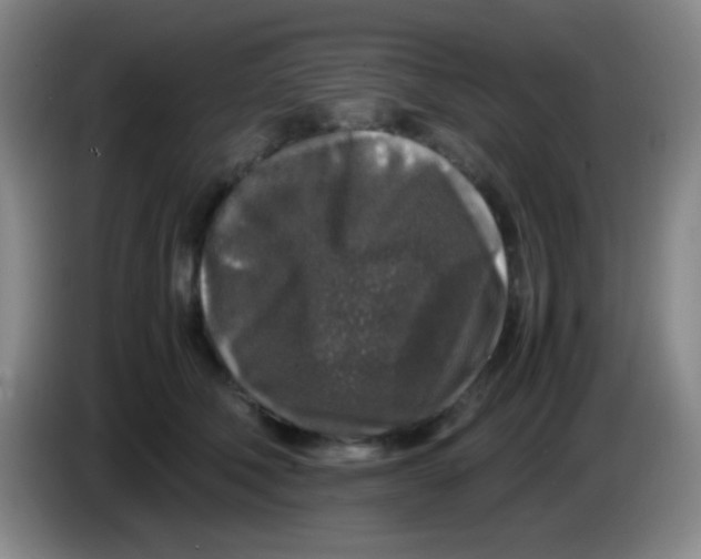 X0000084000610200703091907