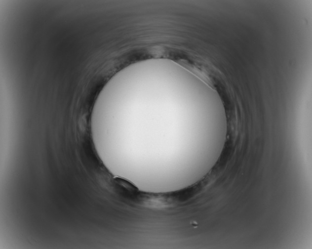 X0000084000611200703091907