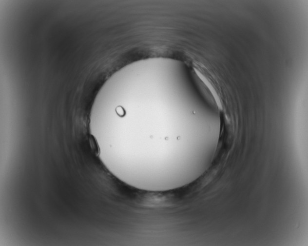 X0000084000613200703091907