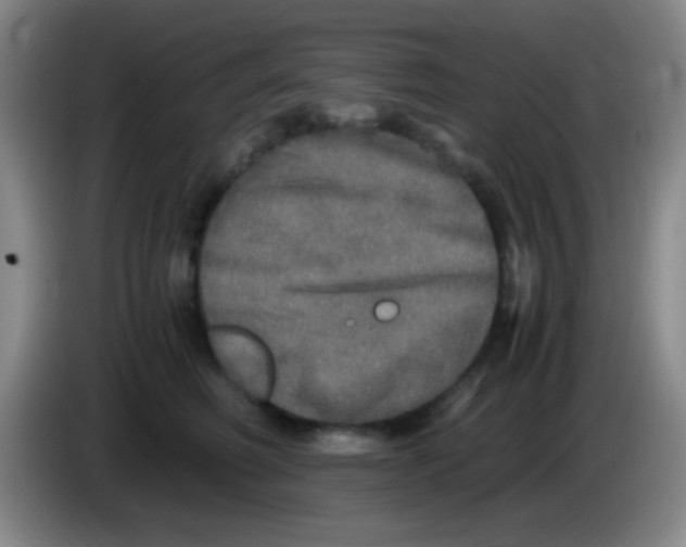 X0000084000614200703091907