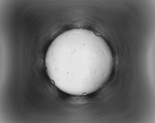 X0000084000615200703091907