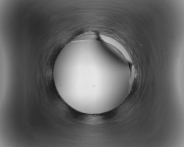 X0000084000617200703091907