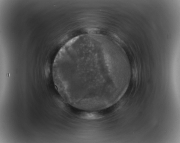 X0000084000618200703091907