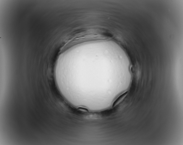 X0000084000619200703091907