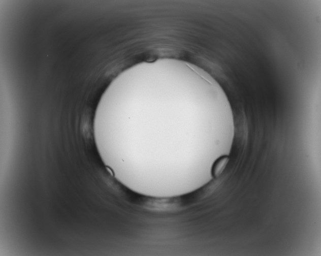 X0000084000622200703091907