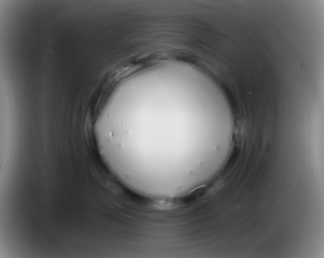 X0000084000623200703091907