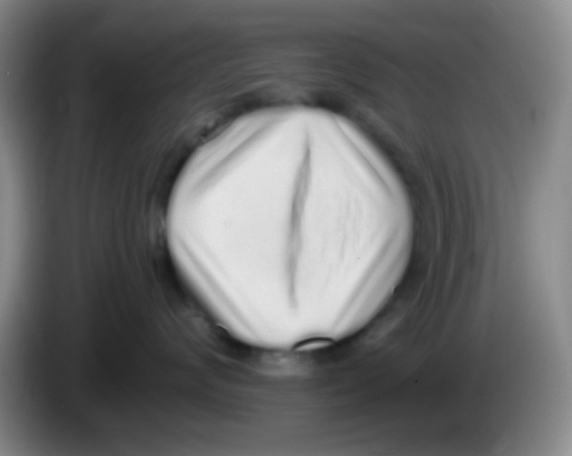 X0000084000624200703091907