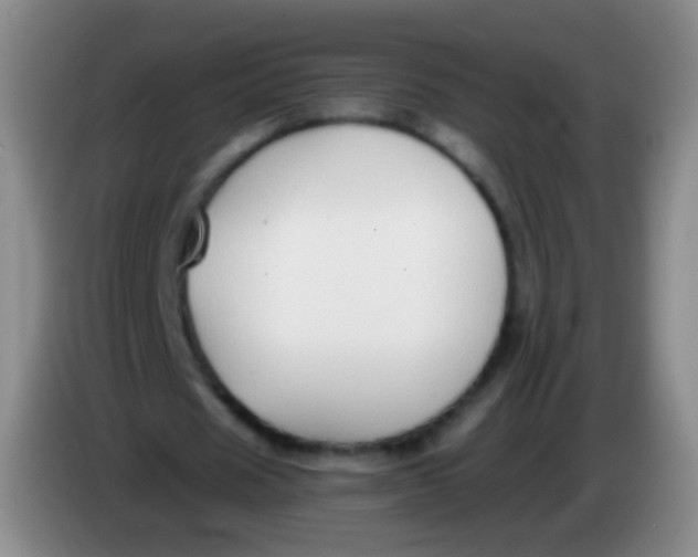 X0000084000625200703091906