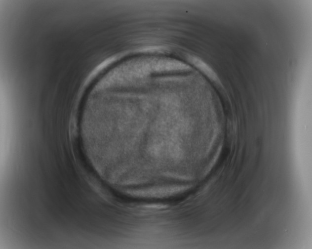 X0000084000628200703091906