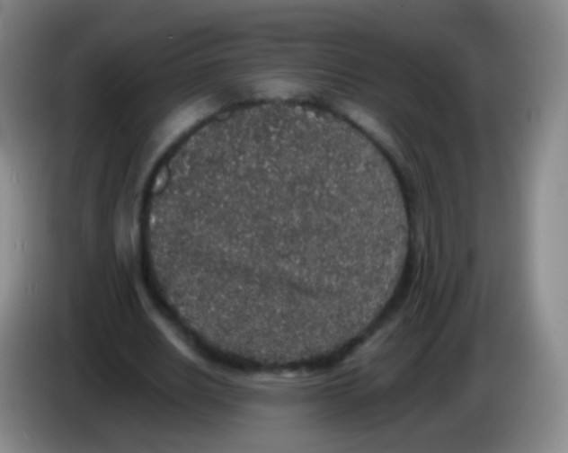 X0000084000630200703091906