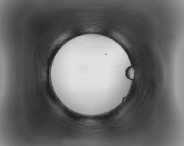 X0000084000635200703091907