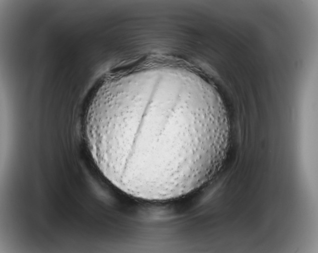 X0000084000638200703091907