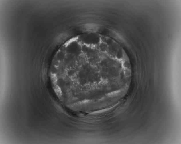 X0000084000641200703091907