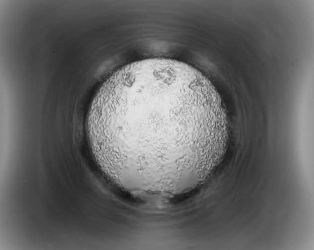 X0000084000642200703091907