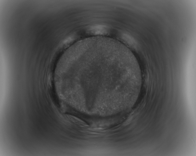 X0000084000643200703091907