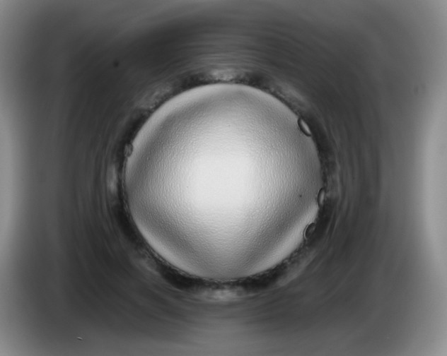 X0000084000646200703091907
