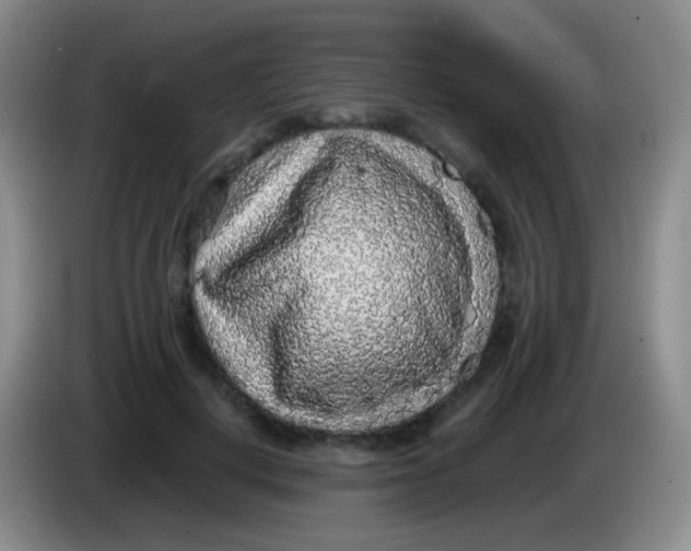 X0000084000648200703091907