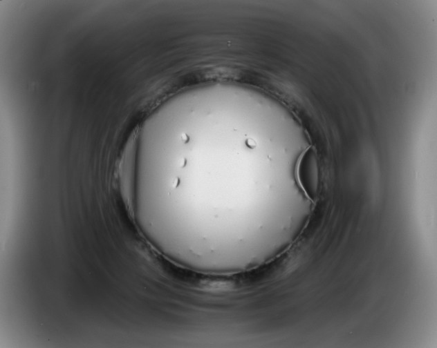 X0000084000649200703091907