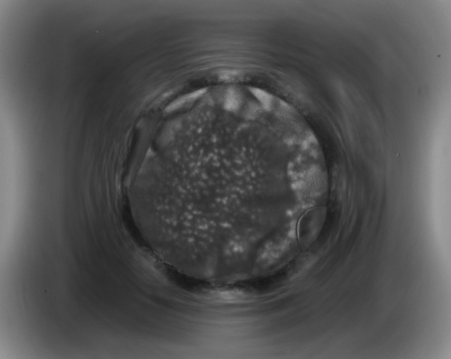 X0000084000650200703091907