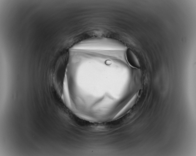 X0000084000651200703091907