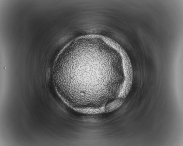 X0000084000652200703091907