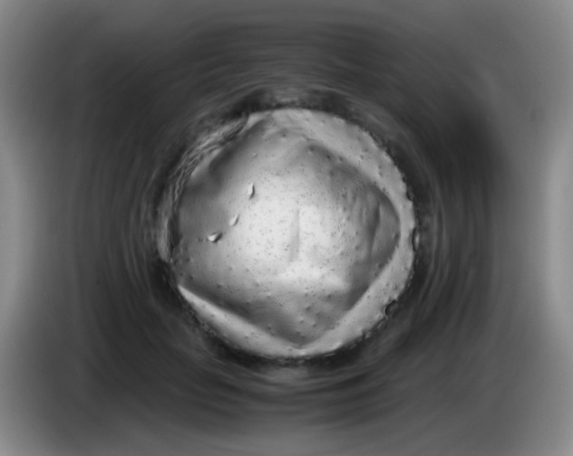 X0000084000653200703091907