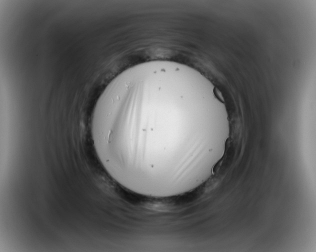 X0000084000655200703091907