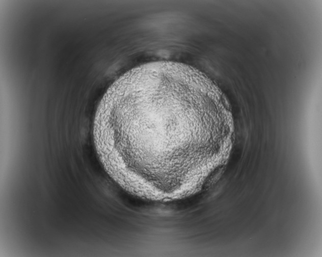 X0000084000656200703091907