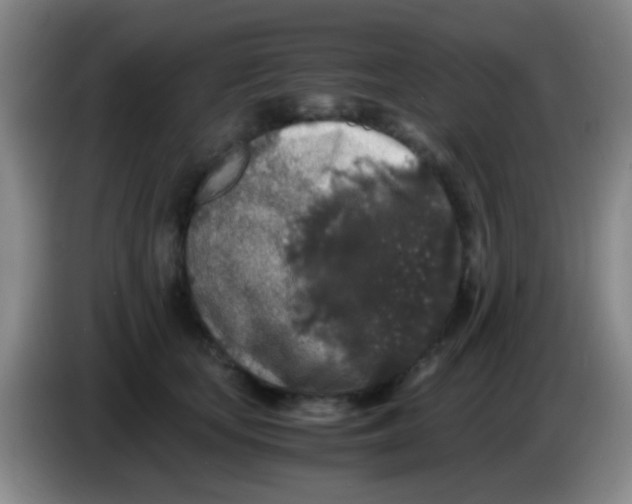 X0000084000659200703091907