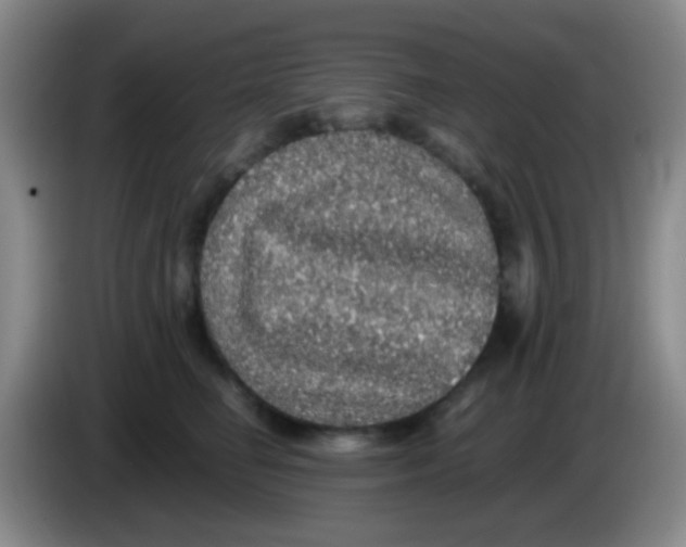 X0000084000662200703091907