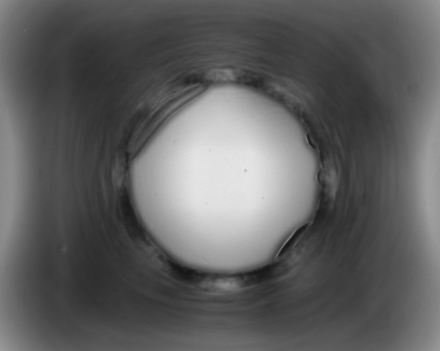 X0000084000665200703091907