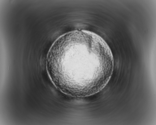 X0000084000666200703091907