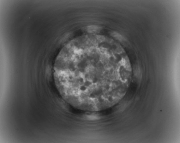 X0000084000667200703091907