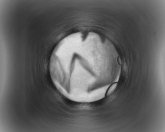 X0000084000668200703091907