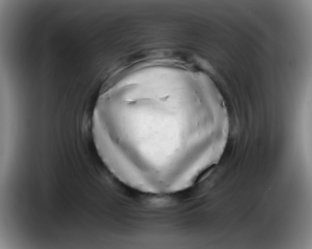 X0000084000669200703091907