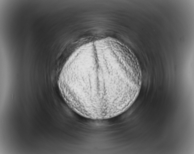 X0000084000670200703091907