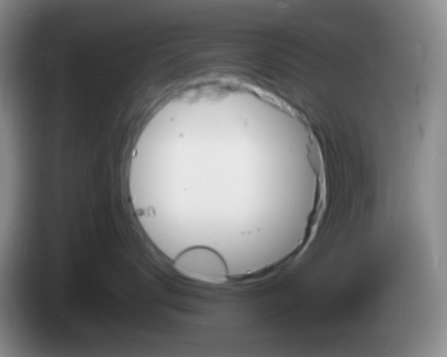X0000084000672200703091907
