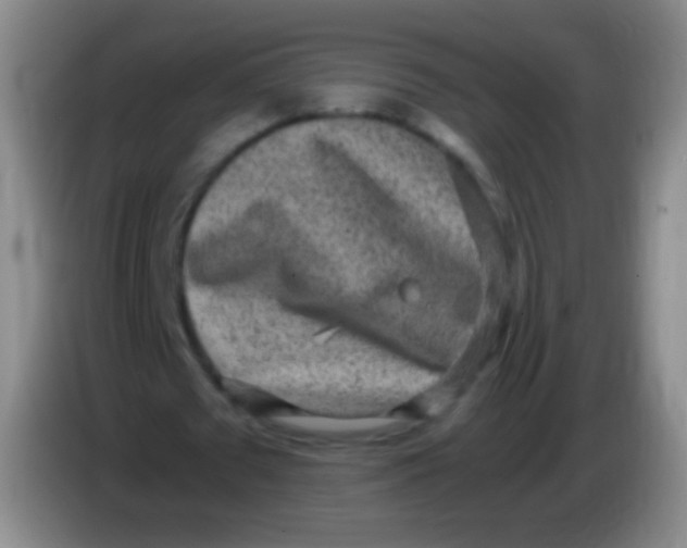 X0000084000673200703091906