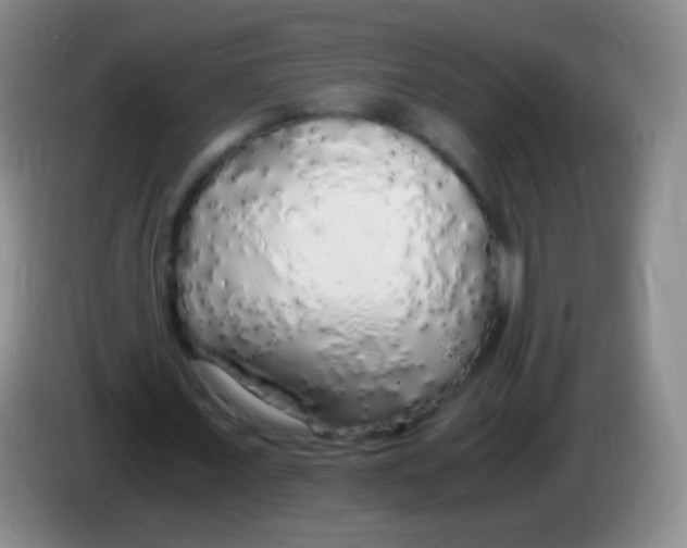 X0000084000675200703091906