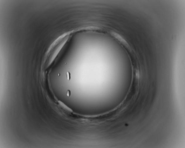 X0000084000676200703091906