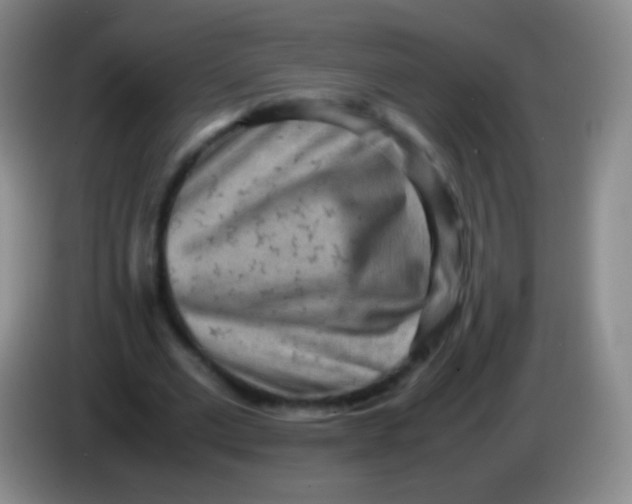 X0000084000677200703091906