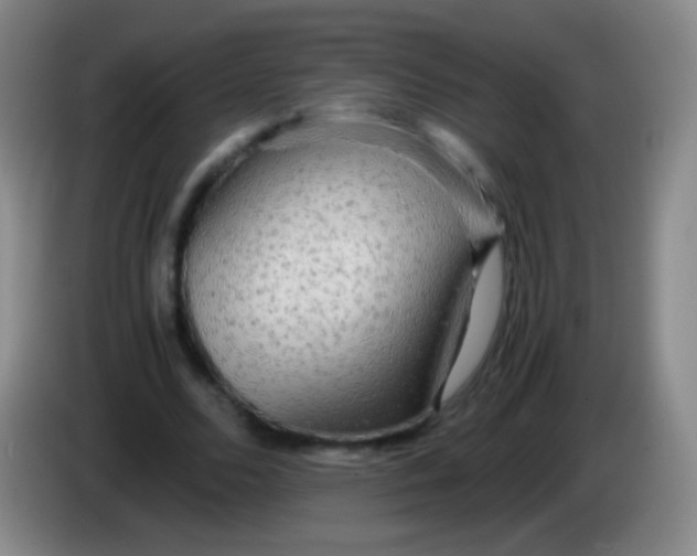 X0000084000680200703091906
