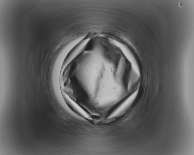 X0000084000681200703091906
