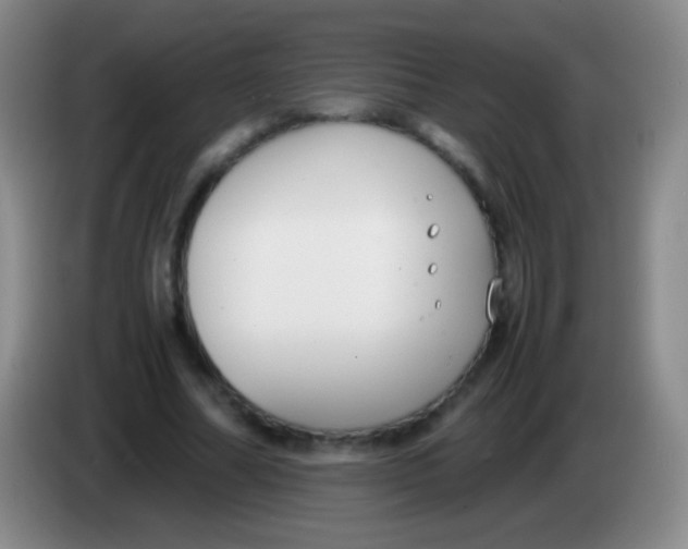 X0000084000682200703091906