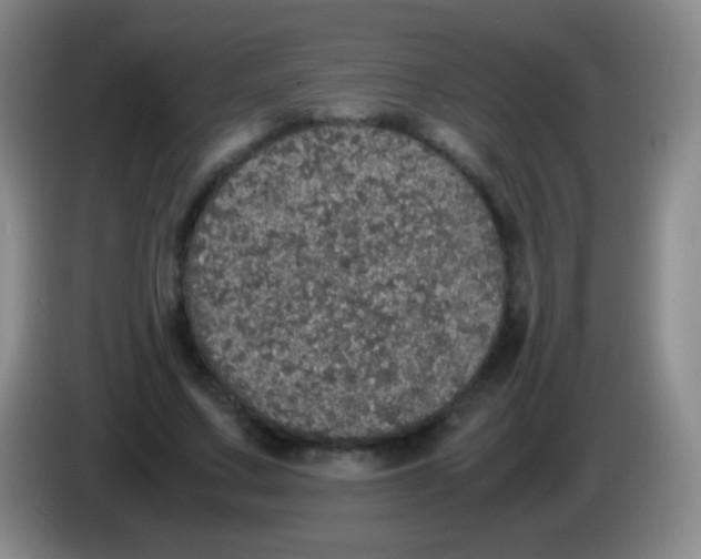 X0000084000683200703091906